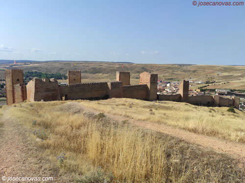 zarza