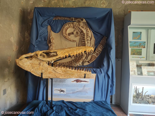 museo2