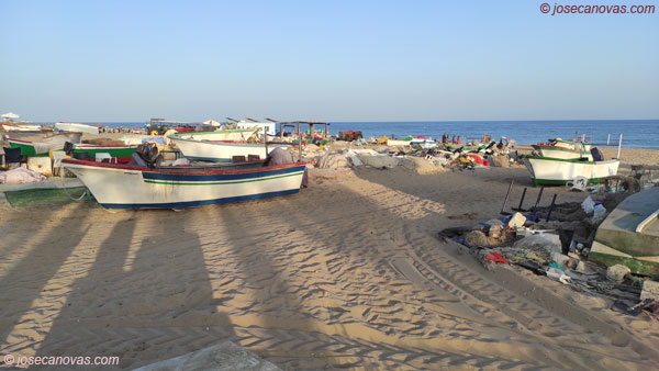 barcas
