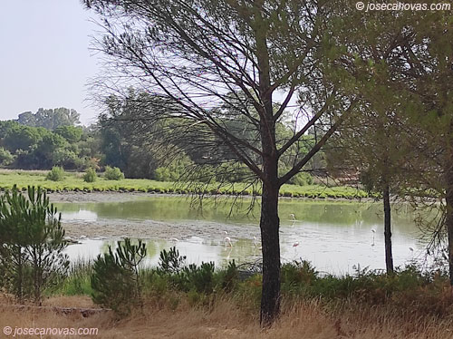 charco