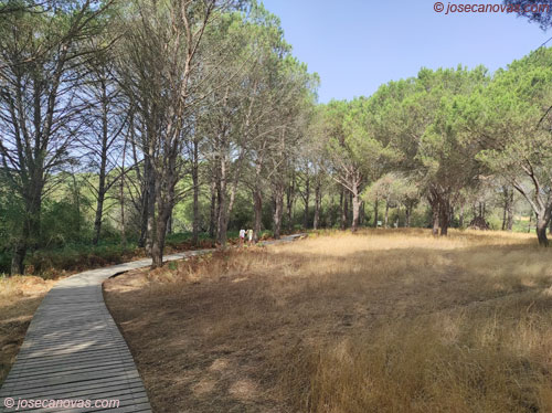 sendero2