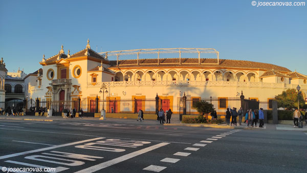toros