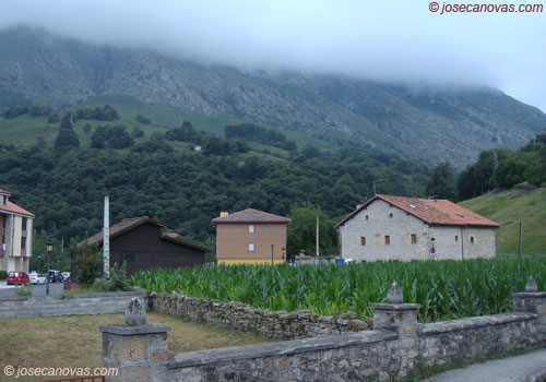 cabrales3