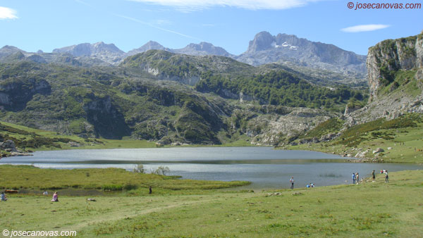 ercina3