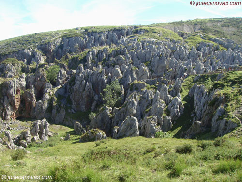 minas4