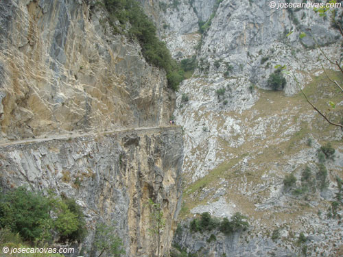 pared