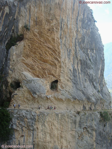 vertical