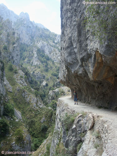 vertical2