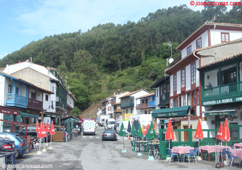 tazones