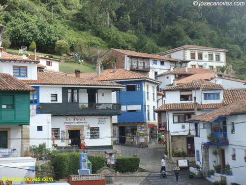 tazones2