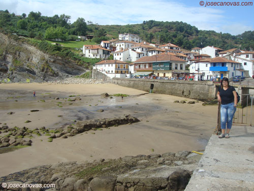 tazones4