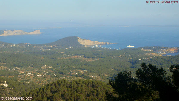 tala