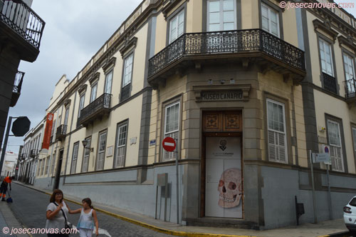 canario