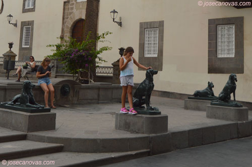 perros