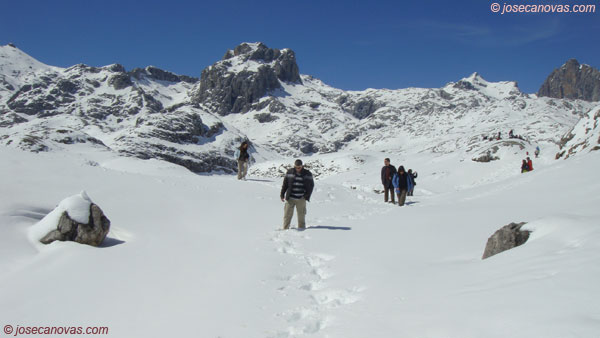 picos4