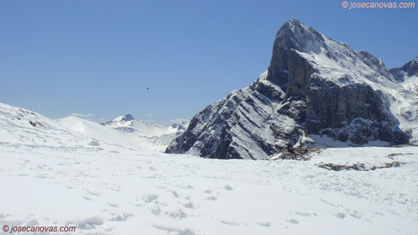 picos6