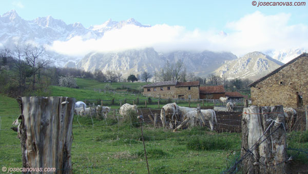 pradera