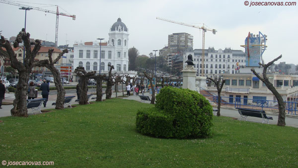 sardinero