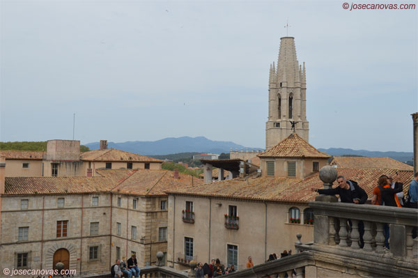 feliu