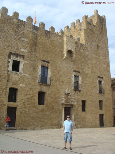 bisbal2