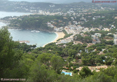 llafranc2