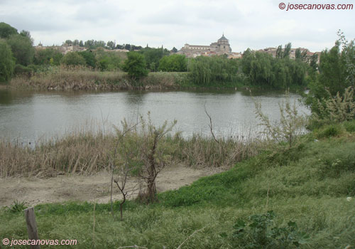 ribera