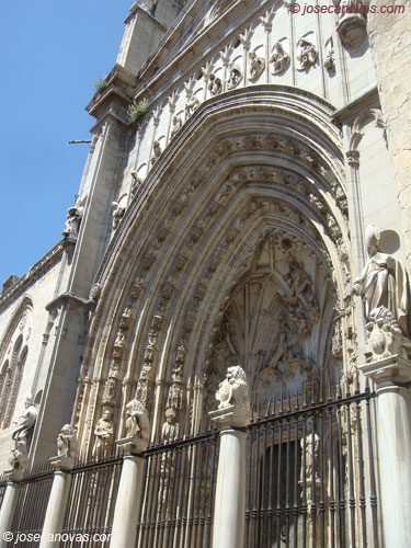 leones2