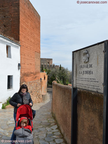 antonio4