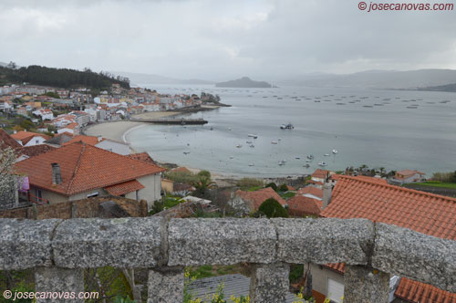 granxa2