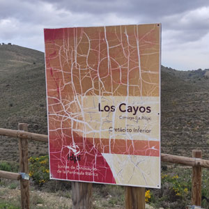 fotocolumna