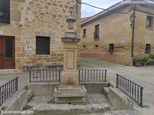 olmo2