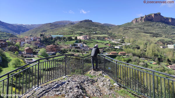 viguera3