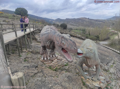 campo4