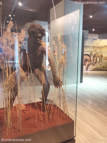 paleo