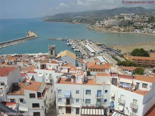 homenaje2
