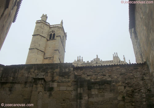 catedral2