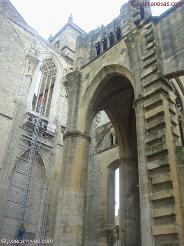catedral3