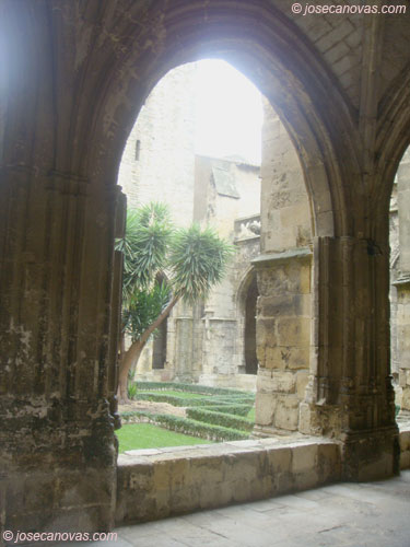 claustro