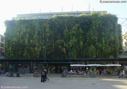 mercado