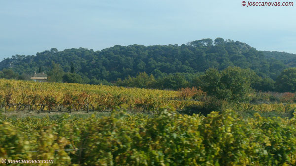 luberon