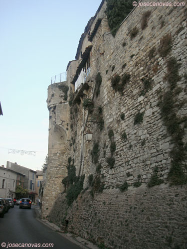 boni2