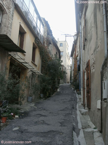 boni4
