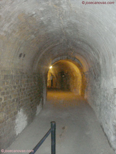 cavea