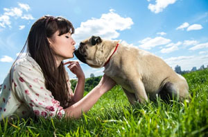beso