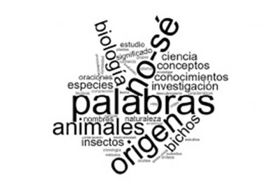 pifias