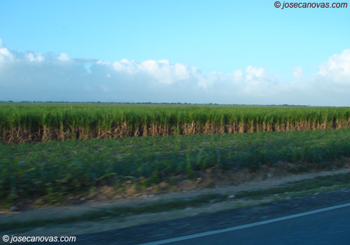 campo