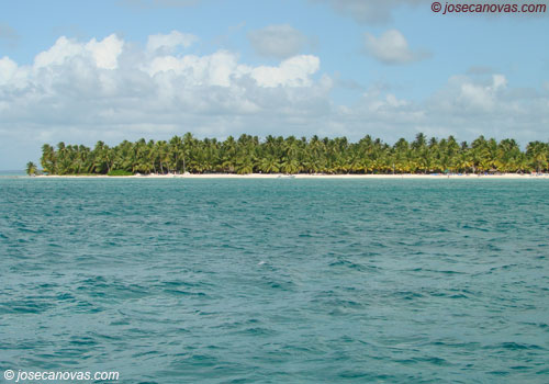 barcas