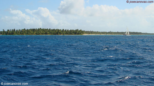 catamaran4