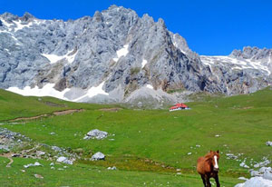 braña