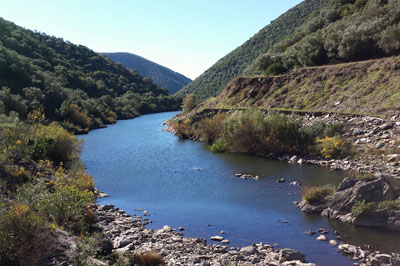 bembezar